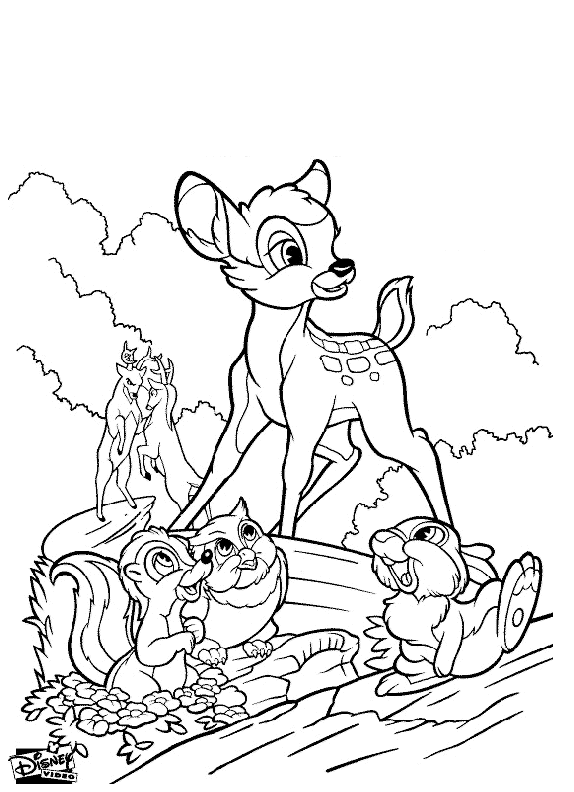 coloriage animaux  Page 6