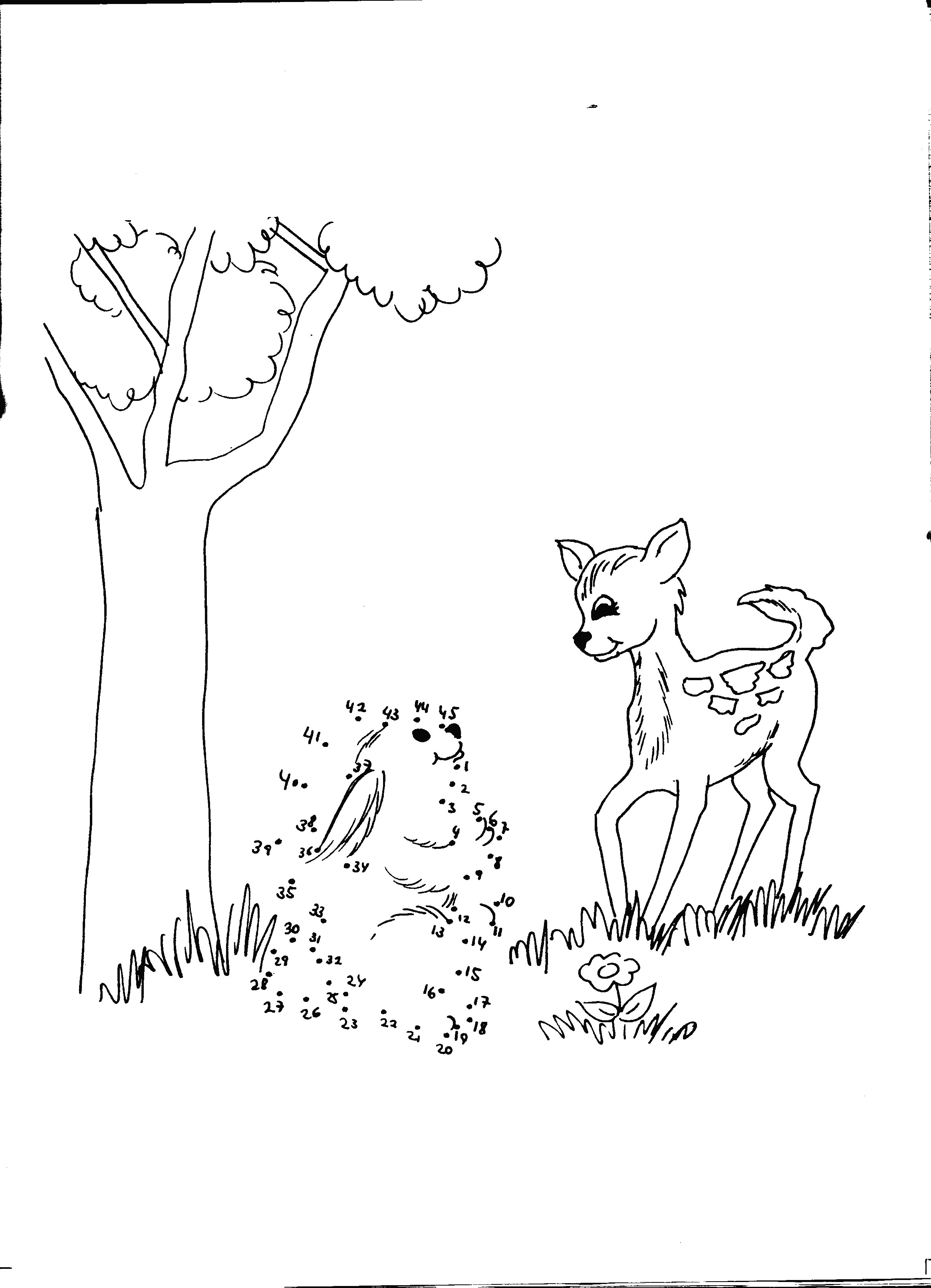 faune37 Page 137 coloriage animaux